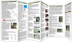 Alternative view 3 of Basic & Primitive Navigation