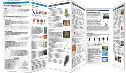 Alternative view 2 of Signaling for Rescue