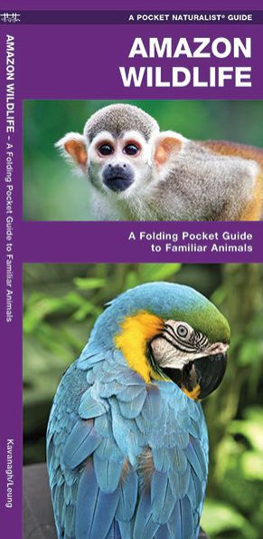 Amazon Wildlife: A Folding Pocket Guide to Familiar Animals