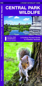 Title: Central Park Wildlife: A Folding Pocket Guide to Familiar Animals, Author: James Kavanagh Waterford Press
