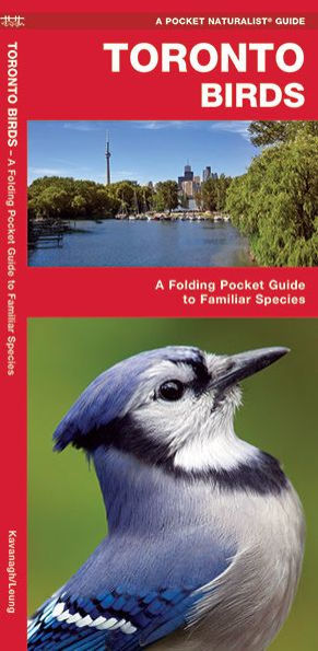 Toronto Birds: A Folding Pocket Guide to Familiar Species