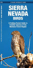 Sierra Nevada Birds: A Folding Pocket Guide to Familiar Species of the Montane Forest Region