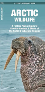 Title: Arctic Wildlife, Author: James Kavanagh Waterford Press