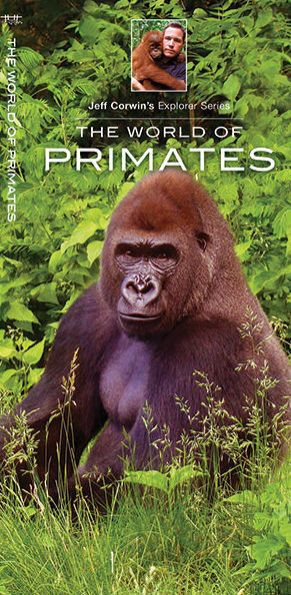 The World of Primates