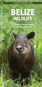 Title: Belize Wildlife: A Folding Pocket Guide to Familiar Animals, Author: James Kavanagh