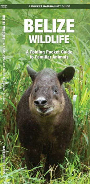 Belize Wildlife: A Folding Pocket Guide to Familiar Animals