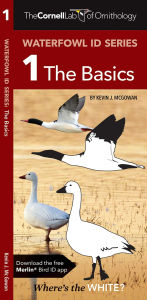 Title: Cornell Lab of Ornithology Waterfowl ID Series: 1 The Basics, Author: Kevin J. McGowan