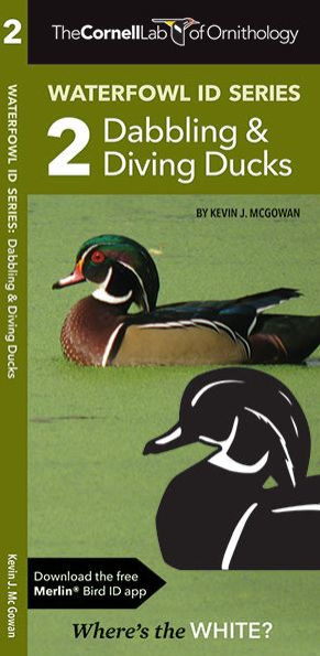 Waterfowl ID Series: 2 Dabbling & Diving Ducks