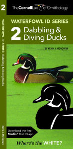 Title: Waterfowl ID Series: 2 Dabbling & Diving Ducks, Author: Kevin J. McGowan