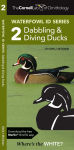 Alternative view 1 of Cornell Lab of Ornithology Waterfowl ID Series: 2 Dabbling & Diving Ducks