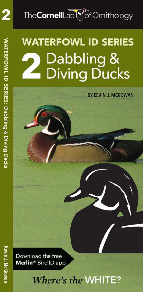 Cornell Lab of Ornithology Waterfowl ID Series: 2 Dabbling & Diving Ducks