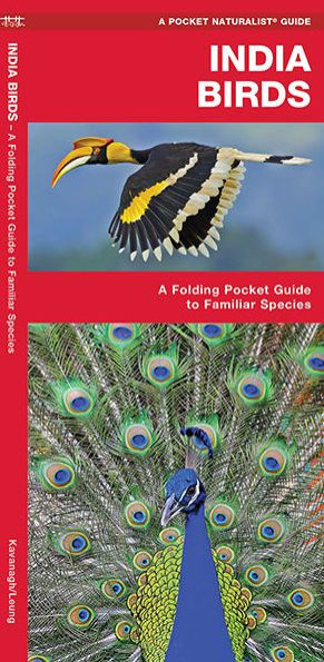 India Birds: A Folding Pocket Guide to Familiar Species