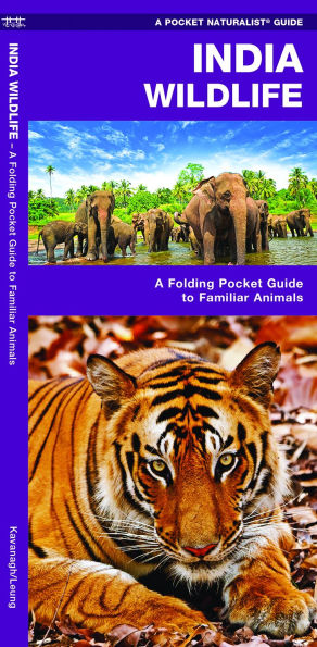 India Wildlife: A Folding Pocket Guide to Familiar Animals