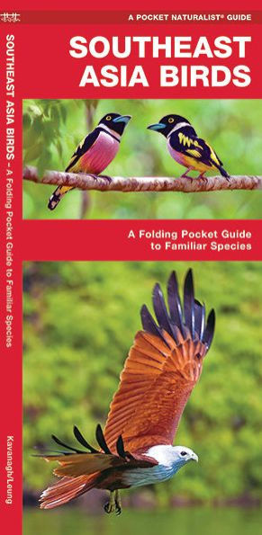 Southeast Asia Birds: A Folding Pocket Guide to Familiar Species