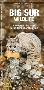 Title: Big Sur Wildlife: A Folding Pocket Guide to Familiar Regional Animals, Author: James Kavanagh Waterford Press