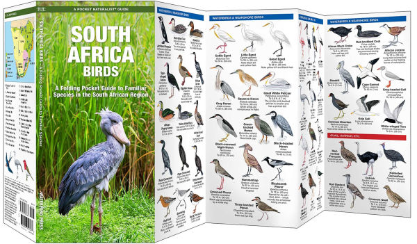 South Africa Birds