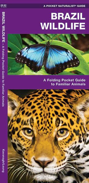 Brazil Wildlife: A Folding Pocket Guide to Familiar Animals