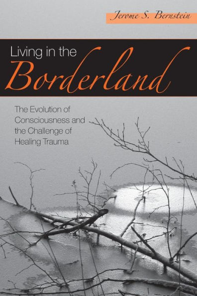 Living in the Borderland: The Evolution of Consciousness and the Challenge of Healing Trauma / Edition 1