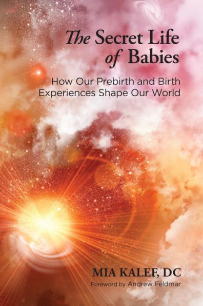 The Secret Life of Babies: How Our Prebirth and Birth Experiences Shape World