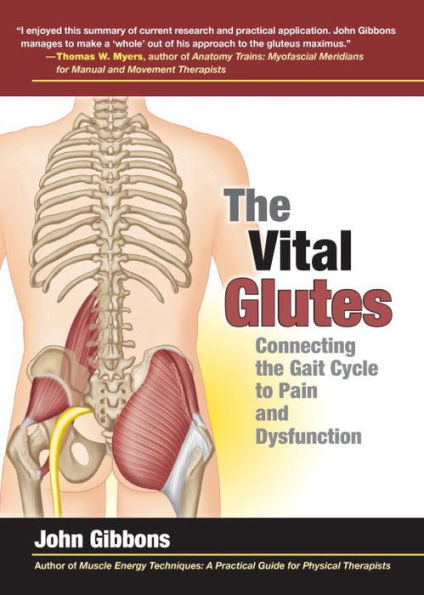 the Vital Glutes: Connecting Gait Cycle to Pain and Dysfunction