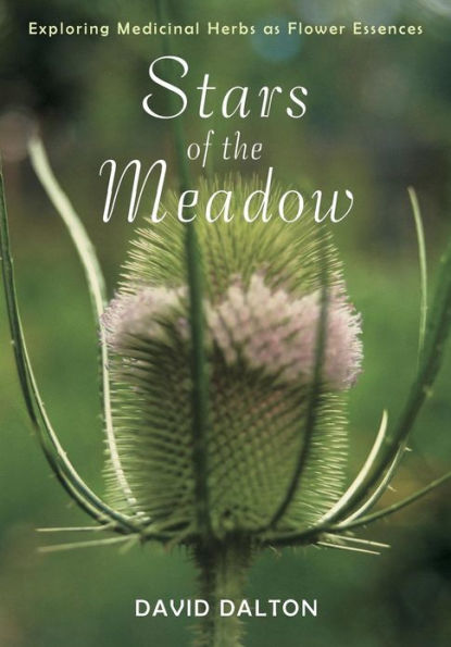 Stars of the Meadow: Exploring Medicinal Herbs as Flower Essences