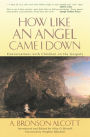 How Like an Angel Came I Down: Conversations With Children on the Gospels