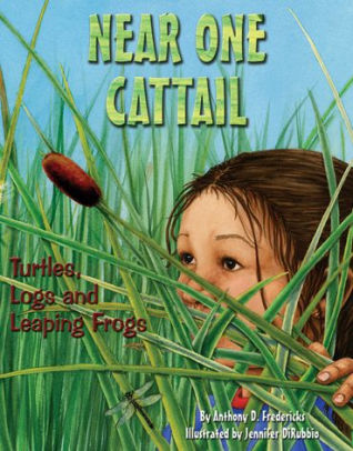 Near One Cattail Turtles Logs And Leaping Frogs By Anthony D