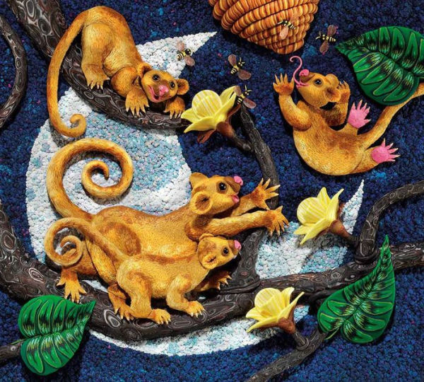 Over in the Jungle A Rainforest Rhyme by Marianne Berkes, Canyon, Paperback Barnes