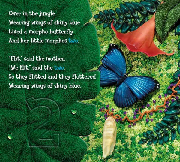 Over in the Jungle A Rainforest Rhyme by Marianne Berkes, Canyon, Paperback Barnes