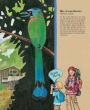 Alternative view 2 of The Forever Forest: Kids Save a Tropical Treasure