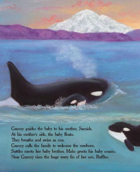 Granny's Clan: A Tale of Wild Orcas