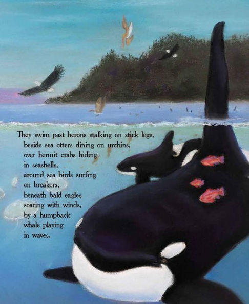 Granny's Clan: A Tale of Wild Orcas