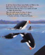 Alternative view 8 of Granny's Clan: A Tale of Wild Orcas