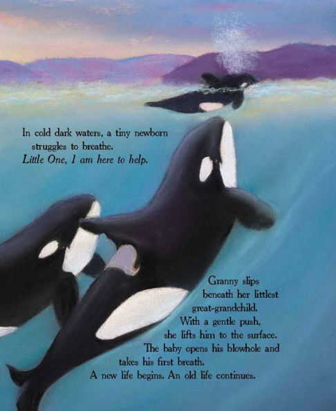 Granny's Clan: A Tale of Wild Orcas