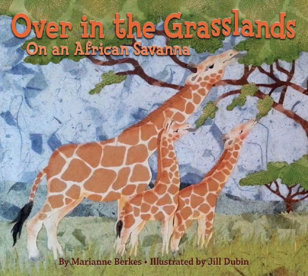 Over the Grasslands: On an African Savanna