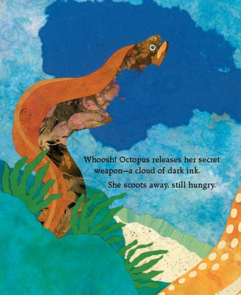 Octopus Escapes Again!