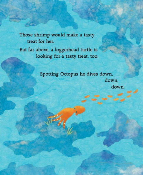 Octopus Escapes Again!