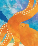 Alternative view 10 of Octopus Escapes Again!