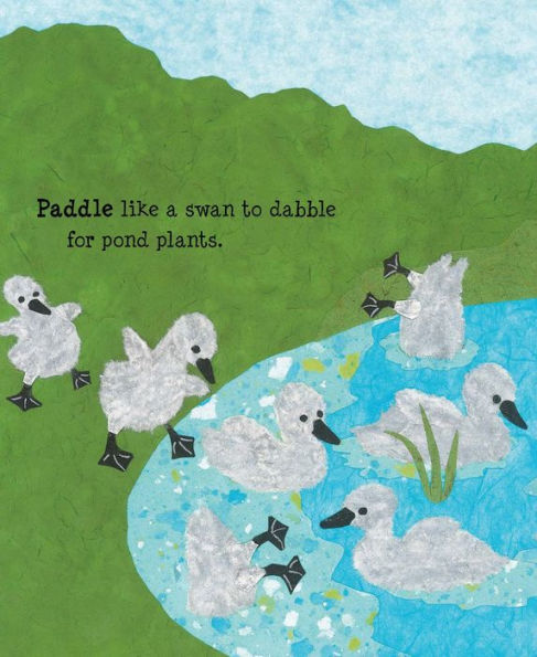 Paddle Perch Climb: Bird Feet are Neat
