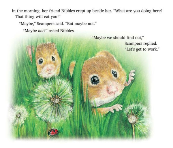 Scampers Thinks Like a Scientist