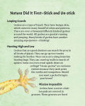 Alternative view 11 of Nature Did It First: Engineering Through Biomimicry
