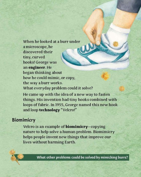 Nature Did It First: Engineering Through Biomimicry
