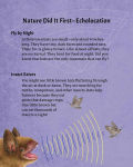 Alternative view 4 of Nature Did It First: Engineering Through Biomimicry