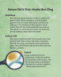 Alternative view 5 of Nature Did It First: Engineering Through Biomimicry