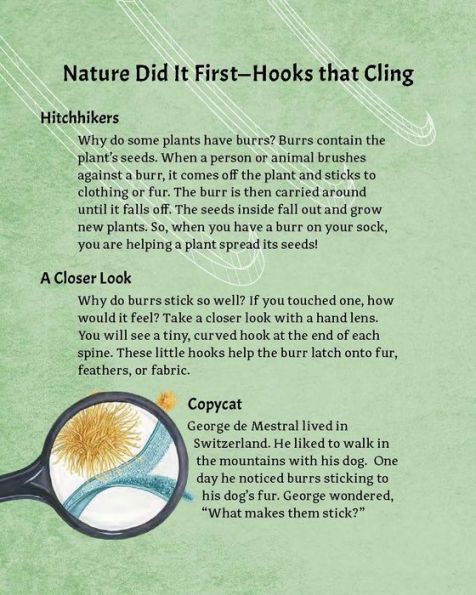 Nature Did It First: Engineering Through Biomimicry