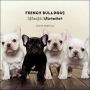 French Bulldogs Lightweights Littermates By Sharon