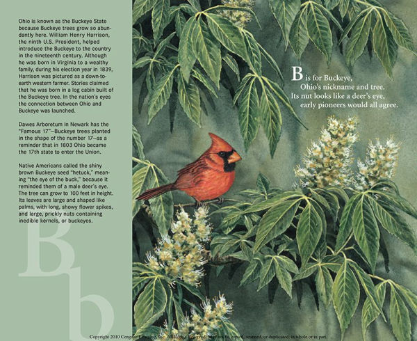 B Is For Buckeye: An Ohio Alphabet