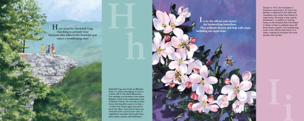 N Is for Natural State: An Arkansas Alphabet