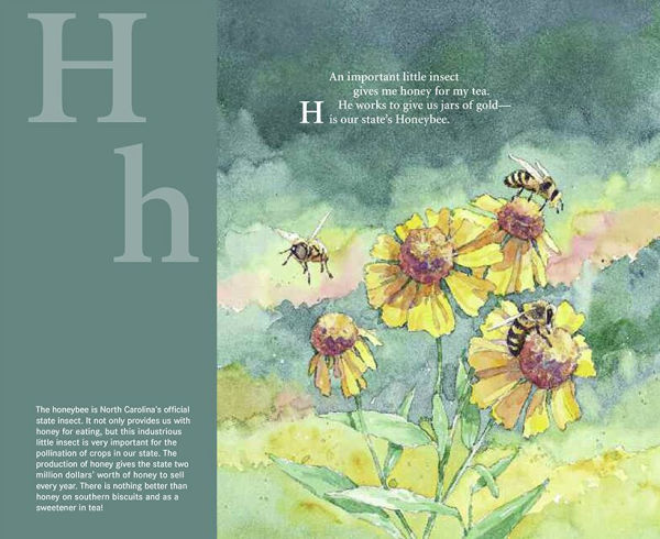 T is for Tar Heel: A North Carolina Alphabet