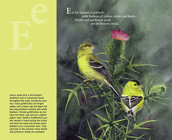 H is for Hawkeye: An Iowa Alphabet